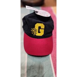 Harry Potter Gryffindor Box Lunch 2 Tone Hat New